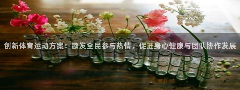 vsport体育官网：创新体育运动方