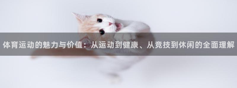 vsport体育平台app下载安装免
