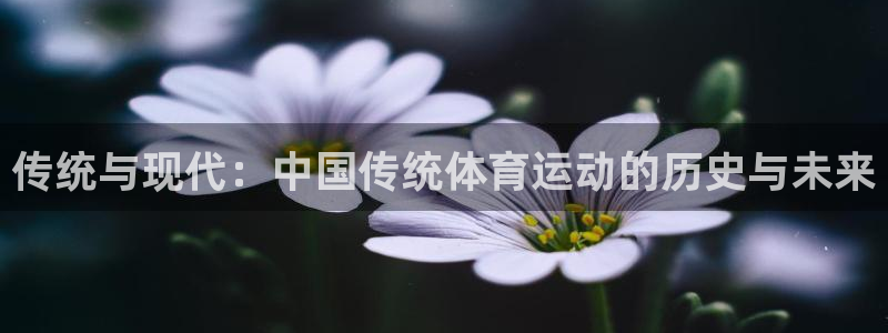 vSport体育在线登录平台：传统与