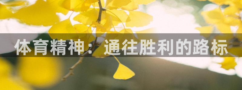 VSport体育官网入口：体育精神：