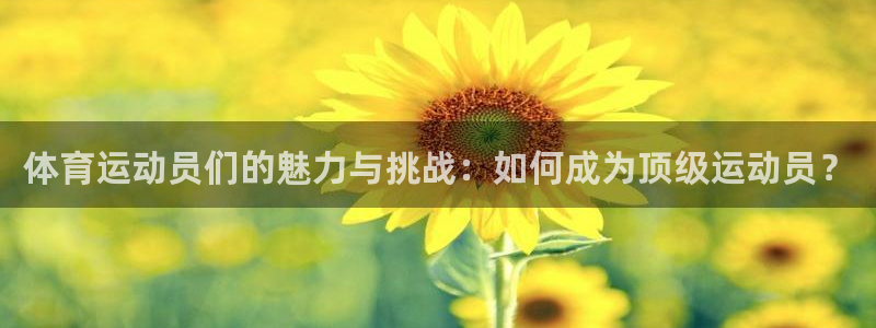 vsport体育官网：体育运动员们的