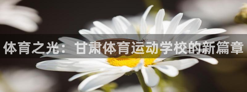 vSport体育app最新版本更新内