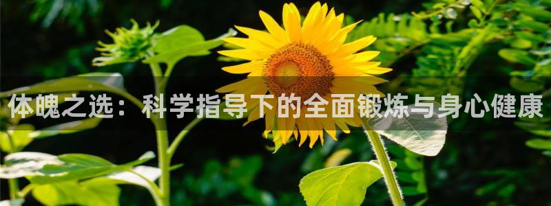 vsport体育平台：体魄之选：科学